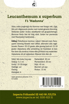 Jätteprästkrage F1 ''Madonna'' fröpåse baksida Impecta