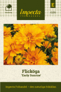 Flicköga ''Early Sunrise'' Dubbla, täta, guldgula blommor
