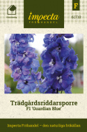 Trädgårdsriddarsporre F1 'Guardian Blue', höga, täta blå blomspiror, vit mitt