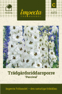 Trädgårdsriddarsporre 'Percival', Jättehöga, täta blomspiror med vita blommor