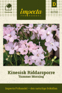Kinesisk Riddarsporre 'Summer Morning', Mängder av stora, ljust pastellrosa, enkla blommor i toppställda samlingar över bladverket.