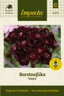 Borstnejlika 'Onyx' Doftande, svartröda blommor, mörkt grönsvarta blad