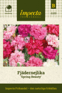 Fjädernejlika Spring Beauty halv- till heldubbla blommor i rött, rosa och vitt.