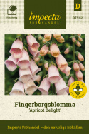 Fingerborgsblomma 'Apricot Delight', Utsökt inslag i den romantiska rabatten och i större blomsterarrangemang. 