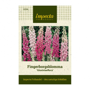 Fingerborgsblomma 'Gloxiniaeflora'