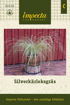 Silverkärleksgräs Impecta Fröpåse
