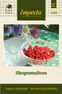 Skogssmultron, Ger massor av söta bär. Tålig och lättodlad.