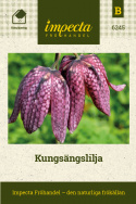 Kungsängslilja, Hängande klockblommor, fint schackmönstrade i purpur.