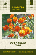 Röd Nejlikrot 'Borisii', Skarpt orangeröda blommor. Tätt, tuvbildande bladverk.