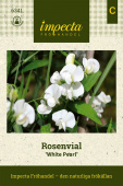 Rosenvial ''White Pearl'' fröpåse Impecta