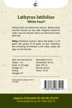 Rosenvial ''White Pearl'' fröpåse baksida Impecta