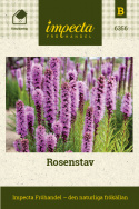 Rosenstav, Purpurröda blomkolvar över grönt, buskigt bladverk