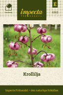 Krollilja, Höga, stadiga stjälkar med flera mahognyröda liljeklockor på varje