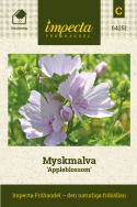 Myskmalva 'Appleblossom', perenn i ljust äppelblomsrosa med skira klockblommor