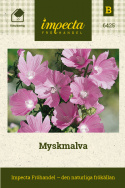 Myskmalva, Gammal, kulturmarksväxt. Blomvillig med skära klockblommor.