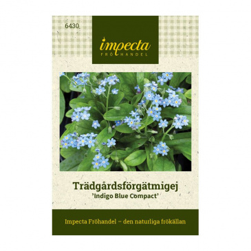 Trädgårdsförgätmigej 'Indigo Blue Compact'