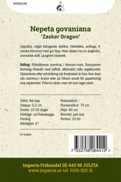 Månskensnepeta 'Zaskar Dragon'