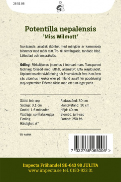 Indisk Fingerört 'Miss Wilmott'