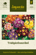 Trädgårdsaurikel Vida klockblommor i gult, rött och violett, alla med gul mitt,