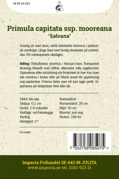 Tofsviva 'Salvana'
