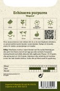 Röd Solhatt Magnus, Stora, ljusrosa blommor med mörkare mitt.