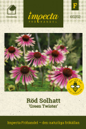 Röd Solhatt 'Green Twister', Stora, purpurrosa blommor med gröna spetsar i kant