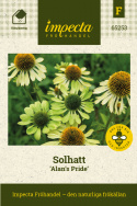 Solhatt 'Alan's Pride', limegröna blommor i varierande nyanser med stor, toppig, mörkt limegrön till gyllengul mitt.