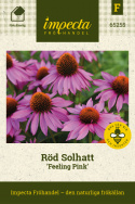 Röd Solhatt Feeling Pink Klarrosa blommor med gyllengul mitt.