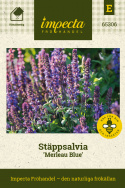Stäppsalvia 'Merleau Blue', blå spiror på kompakta, täta plantor. Rikblommande.