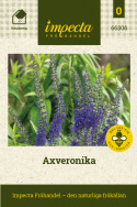 Axveronika, Ståtlig perenn med mörkt lavendelblå blomspiror på höga, stadiga, mörka stjälkar.