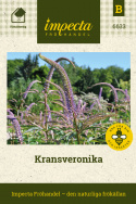 Kransveronika, lansettlika, grönblå blad i kransar. Lila toppblommor i ax.