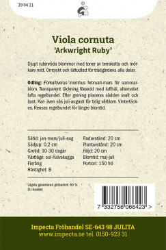 Bukettviol 'Arkwright Ruby'