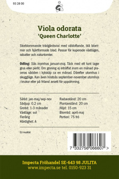 Luktviol 'Queen Charlotte'