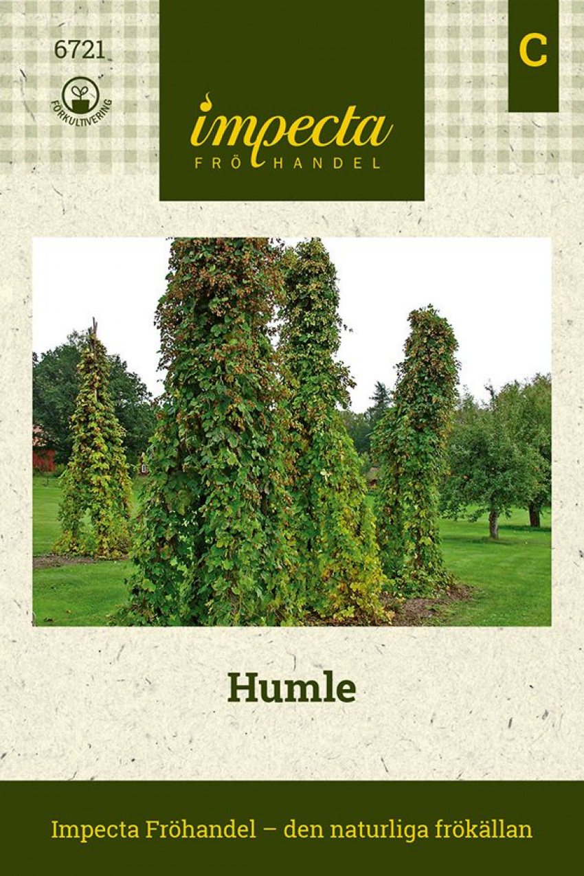 Frö till humle | Perenner | Humulus lupulus | Snabb leverans | Impecta