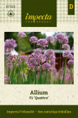 Allium F1 'Quattro' Impecta Fröpåse