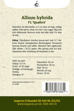 Allium F1 'Quattro' Impecta Fröpåse odlingsanvisning