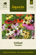 Solhatt 'Paradiso', Blandade solhattar i oväntade färgkombinationer.