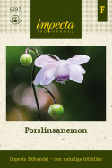 Porslinsanemon, Graciöst, tilltalande växtsätt. Bägarformade, lilarosa blommor.