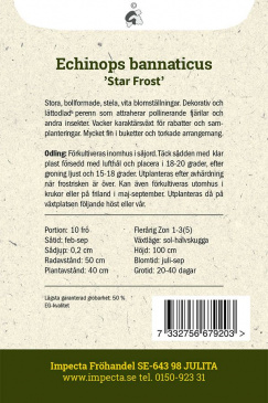 Blå Bolltistel 'Star Frost' Impecta odlingsanvisning