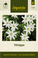 Vitsippa, Välkänd vårblomma med vita kronblad, ofta med rödviolett utsida.