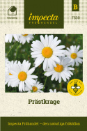 Prästkrage, vita kronblad och gul mitt. Rundade rosettblad, tandade stjälkblad