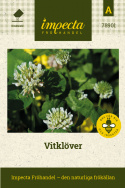 Vitklöver små runda, vita, blomhuvuden, lågväxande 
