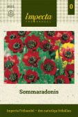 Sommaradonis