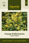 Orange Kolibrimynta 'Sunset Yellow' Impecta fröpåse