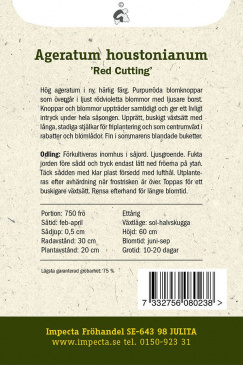 Ageratum 'Red Cutting'