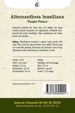 Stort Papegojblad 'Purple Prince' Impecta odlingsanvisning