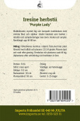 Höblomster 'Purple Lady' Impecta odlingsanvisning