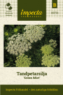 Tandpetarsilja 'Green Mist', Limegröna knoppar som slår ut i täta, vita flockar.