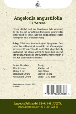 Angelonia F1 'Serena' Impecta odlingsanvisning