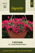 Lejongap F1 'Candy Showers Rose', Lysande hallonrosa blommor med gult svalg.